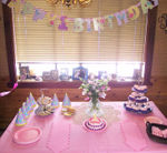 The cake & cookie table for Annabel's party