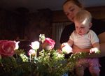 Momma and Annabel looking at the beautiful roses from Grandma Joan