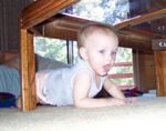 crawling under the coffee table