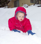 Playing in the snow bank