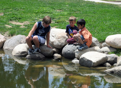 Soren & Philip trying to catch tadpoles with another boy at the Interfaith Picnic
