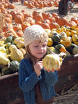 Inspecting gourds