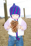 Inspecting a pine cone