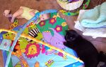 Annabel and Atilla on the playmat