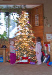 Annabel & Alli checking out the xmas tree (#2)