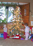 Annabel & Alli checking out the xmas tree (#1)