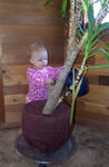 Watering the yucca tree