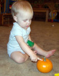 a pumpkin!