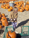 Pulling the wagon @ the pumpkin patch
