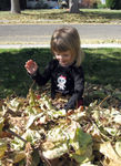 Playing in the leaves on Halloween morning (#2)