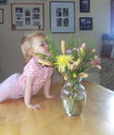 Smelling the flowers we picked out for Momma on Mother's Day