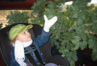 Petting the tree on the ride home