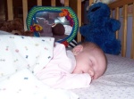 Annabel's first nap in her baby cage!