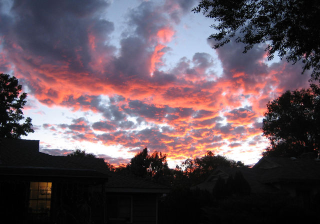 Sunset over the backyard