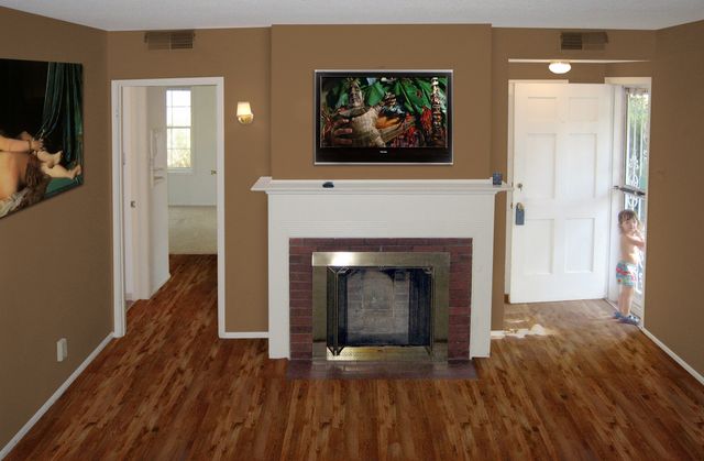 A Photoshop mock-up of how we wanted the livingroom to look
