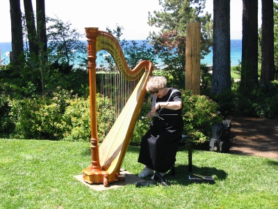 Beverly, the harpist, setting up before the wedding