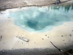 Pretty pool at Norris Geyser Basin